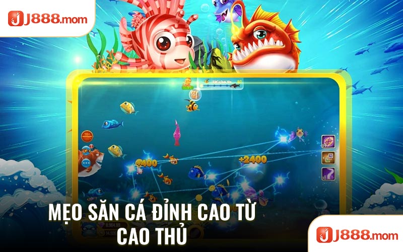 Mẹo săn cá đỉnh cao từ cao thủ